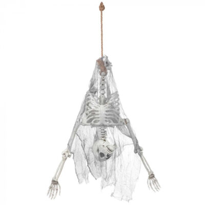 Loftskraut, Beinagrind á hvolfi, 140cm