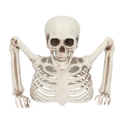 Beinagrind úr jörðu, 20cm