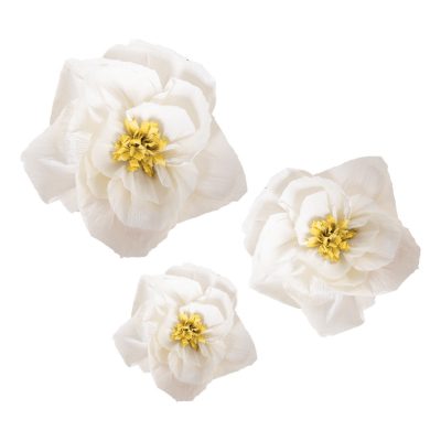 Blóm, Pappa, Hvít, 3 stk