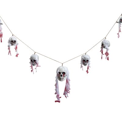 Skrautlengja, Hauskúpur, 1.8m