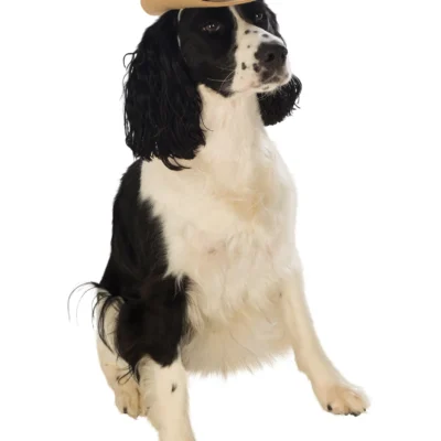 Hunda, Kúrekahattur, S-M