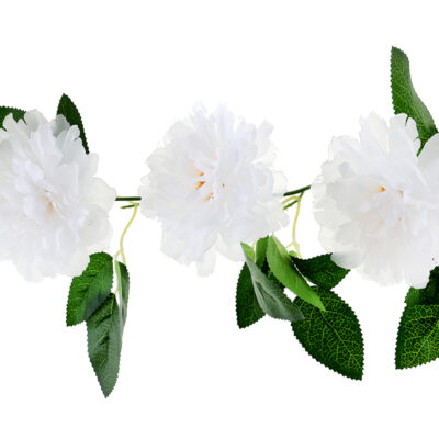 Blómalengja, 140cm, Hvít