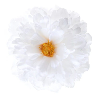 Blóm, 11x5cm, Hvít, 4 stk